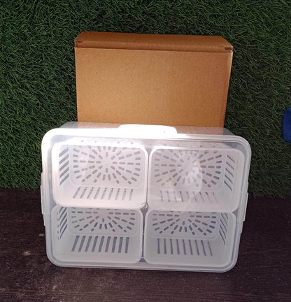 Fridge Storage Boxes Freezer Storage Containers, Container for Kitchen Storage Set, Storage in Kitchen, Vegetable Storage, Draining Crisper Refrigerator Food Box (1 Pc) - infinityexculsivestore.com