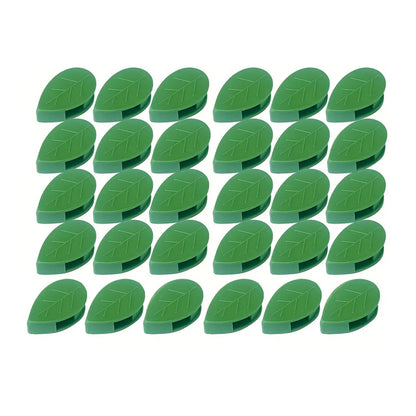 Plant Climbing Wall Fixture Clip Self - Adhesive Hook Vines Traction Invisible Stand Green Plant Clip Garden Wall Clip Plant Support Binding Clip Plants for Indoor Outdoor Decoration (30 Pcs Set) - infinityexculsivestore.com